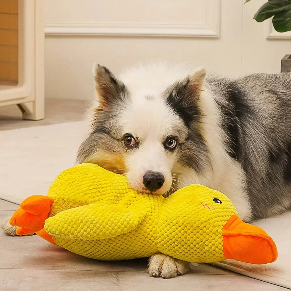 Dog Toy Duck Plush
