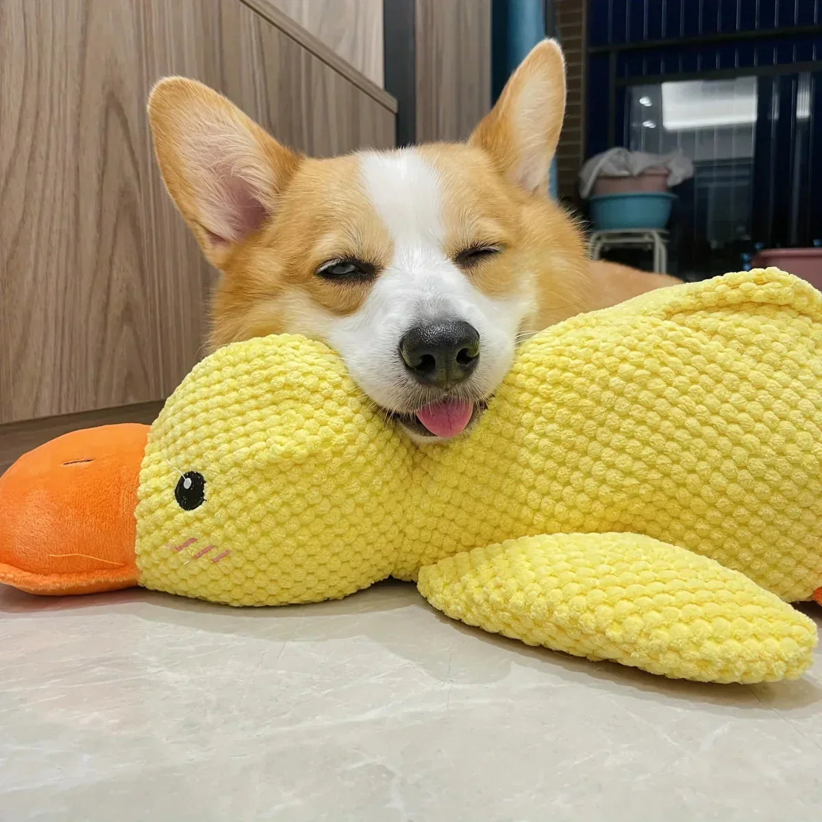 Dog Toy Duck Plush
