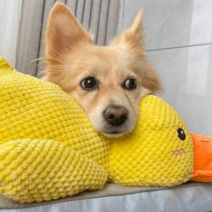 Dog Toy Duck Plush