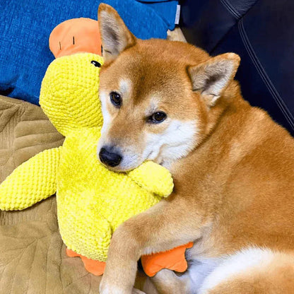 Dog Toy Duck Plush
