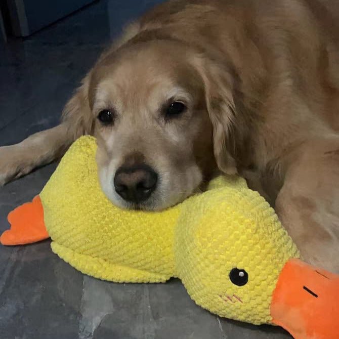 Dog Toy Duck Plush