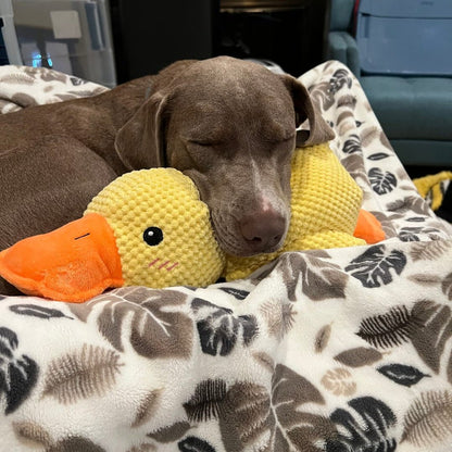 Dog Toy Duck Plush