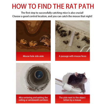 Reusable Mouse Trap Cage Sliding Door