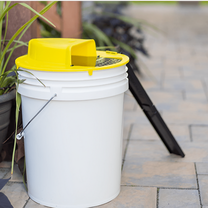 Automatic Mouse Trap Flip Trap Device