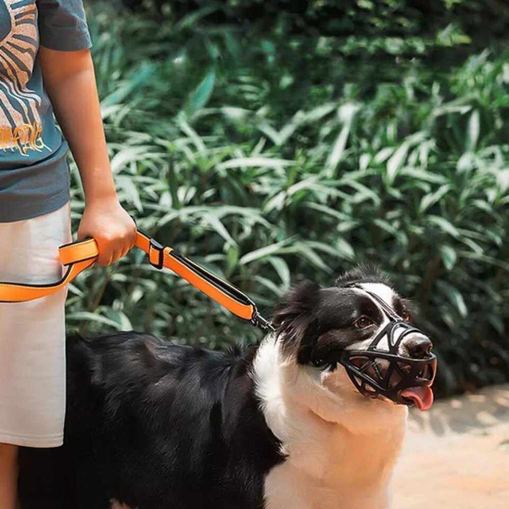 Adjustable Dog Muzzle Canine Safety Device