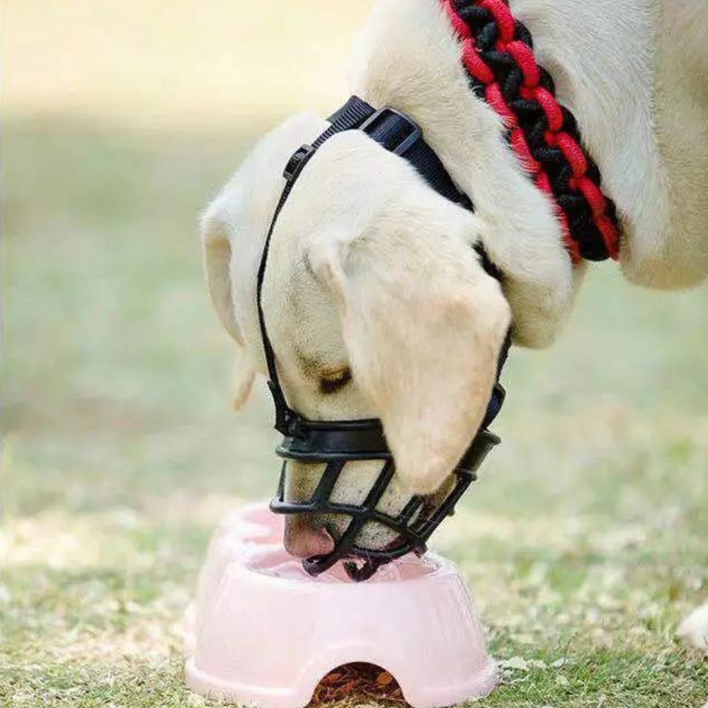 Adjustable Dog Muzzle Canine Muzzle SecureFit