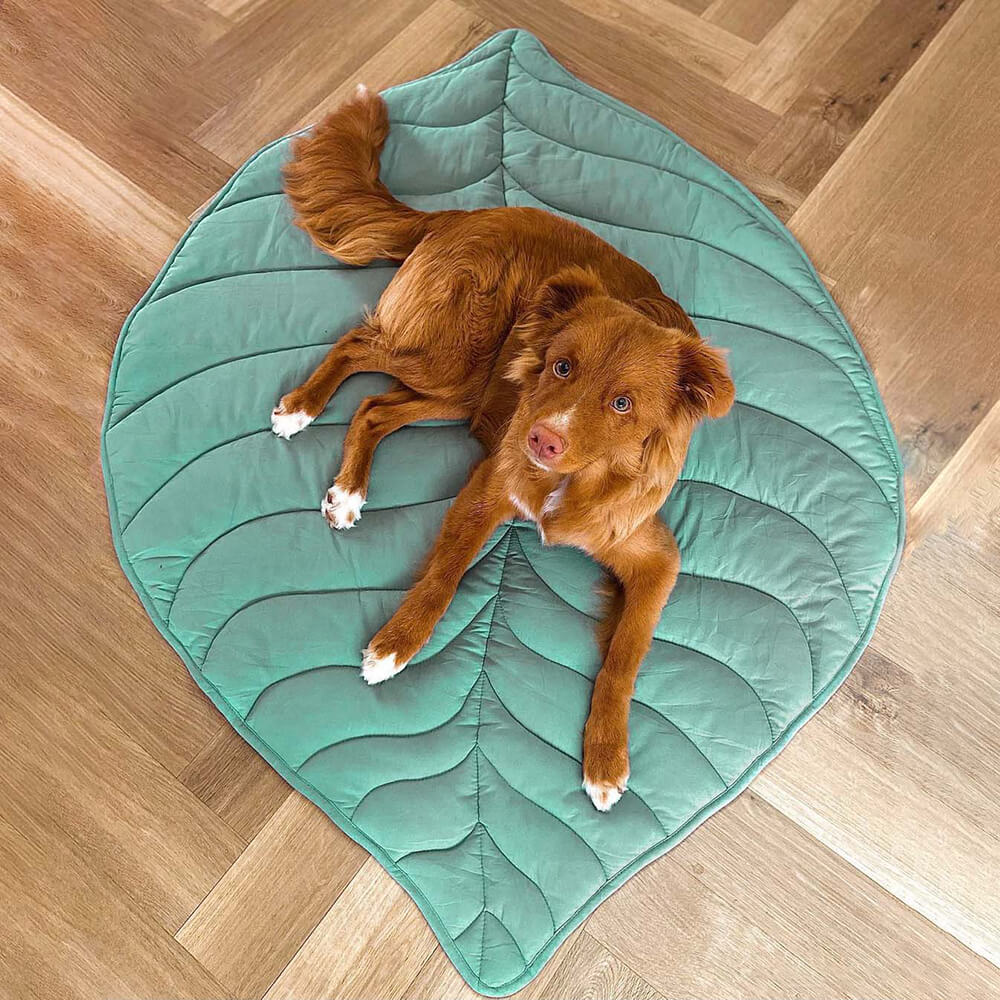 Large Dog Bed Blanket Cover Mat
