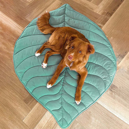 Large Dog Bed Blanket Cover Mat