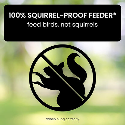 Squirrel Proof Hanging Bird Feeder Outdoor Feeder