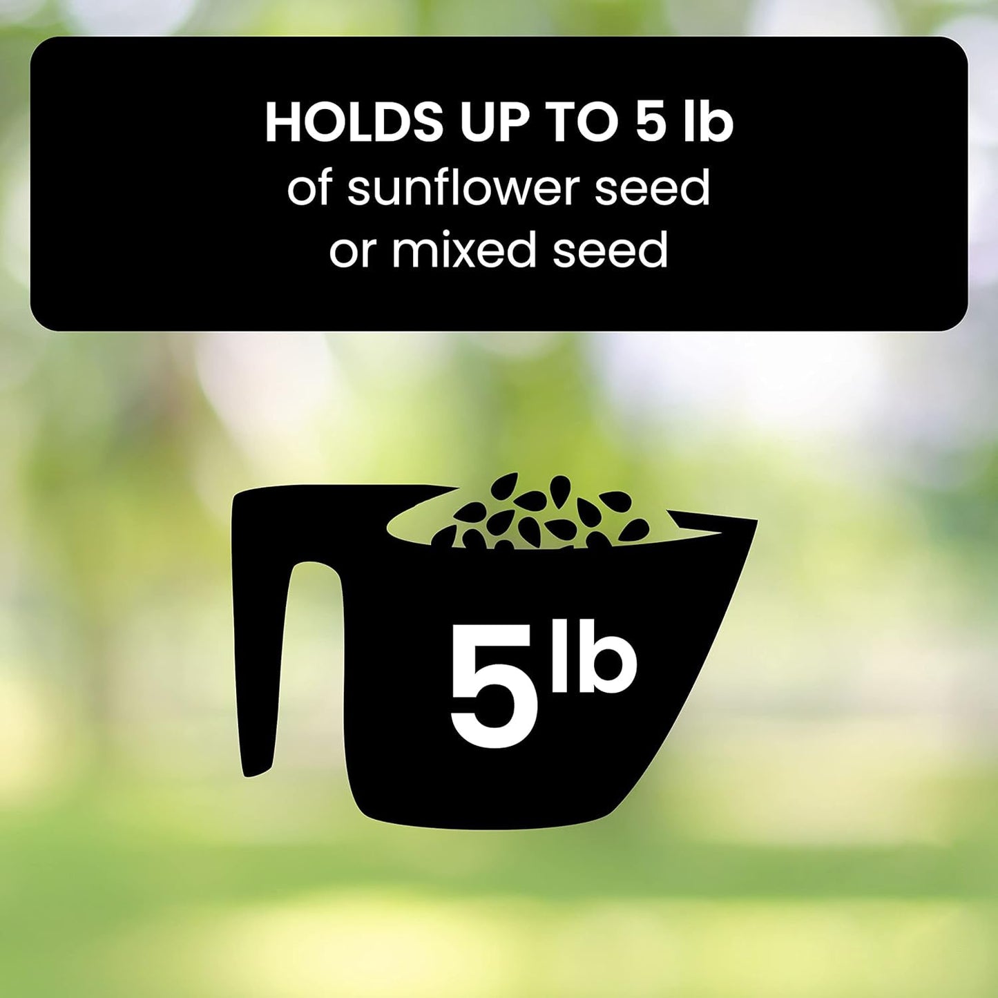 Squirrel Proof Hanging Bird Feeder Outdoor Feeder