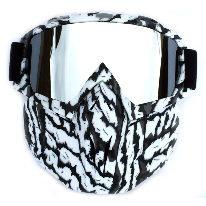 Ski Goggles with Storage Box Anti-Fog Windproof